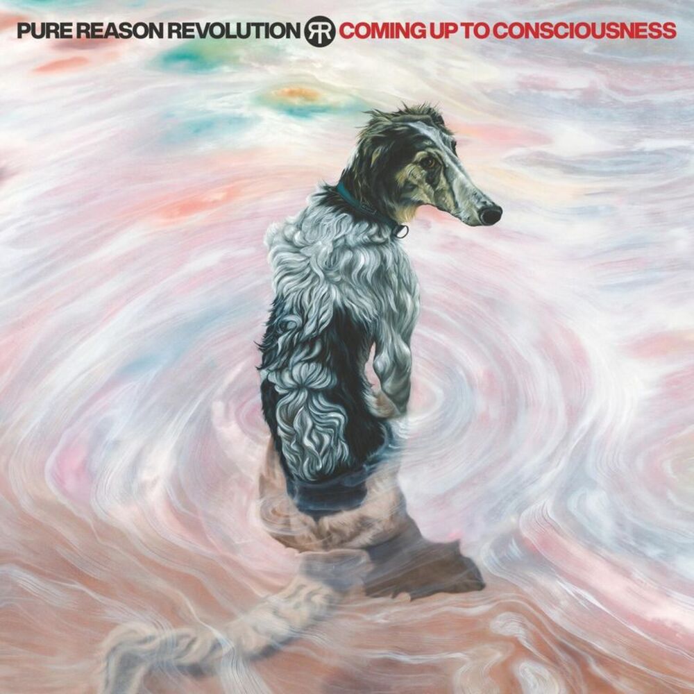 Pure Reason Revolution - Coming Up To Consciousness  CD